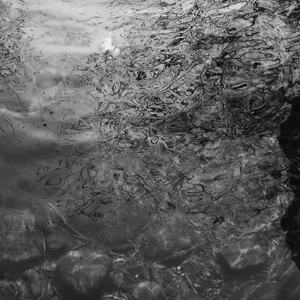 商用企业小狼导航
