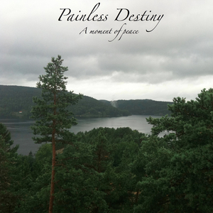 商用企业小狼导航
